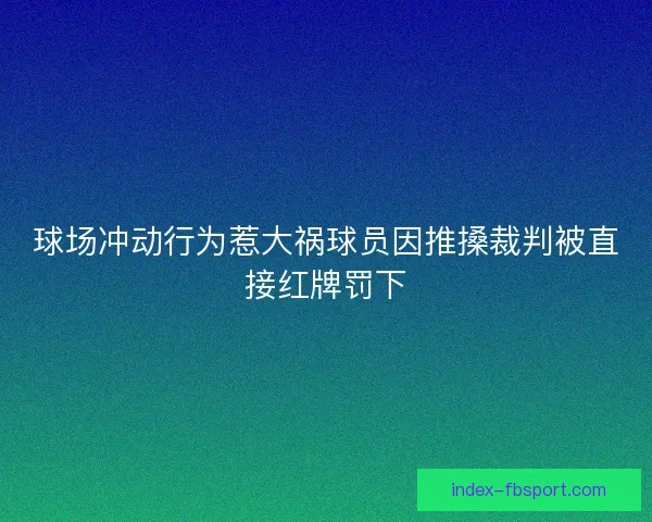球场冲动行为惹大祸球员因推搡裁判被直接红牌罚下