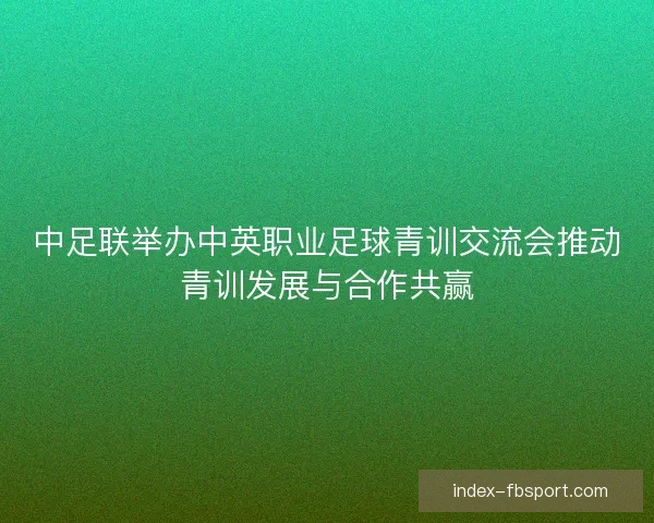 中足联举办中英职业足球青训交流会推动青训发展与合作共赢